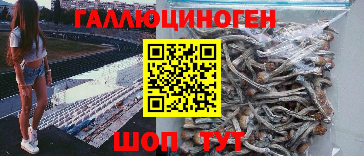 Галлюциногенные грибы прущие грибы Россошь